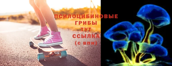 дурь Алексин