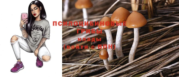 дурь Алексин