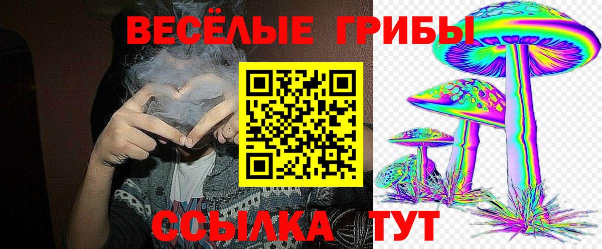 Шуя  Галлюциногенные грибы Magic Shrooms  Вход с VPN 