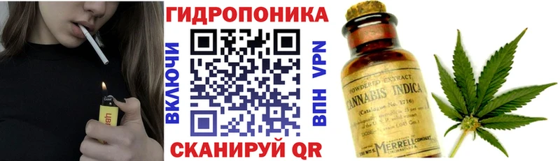 МАРИХУАНА индика  купить наркотик  Шуя 